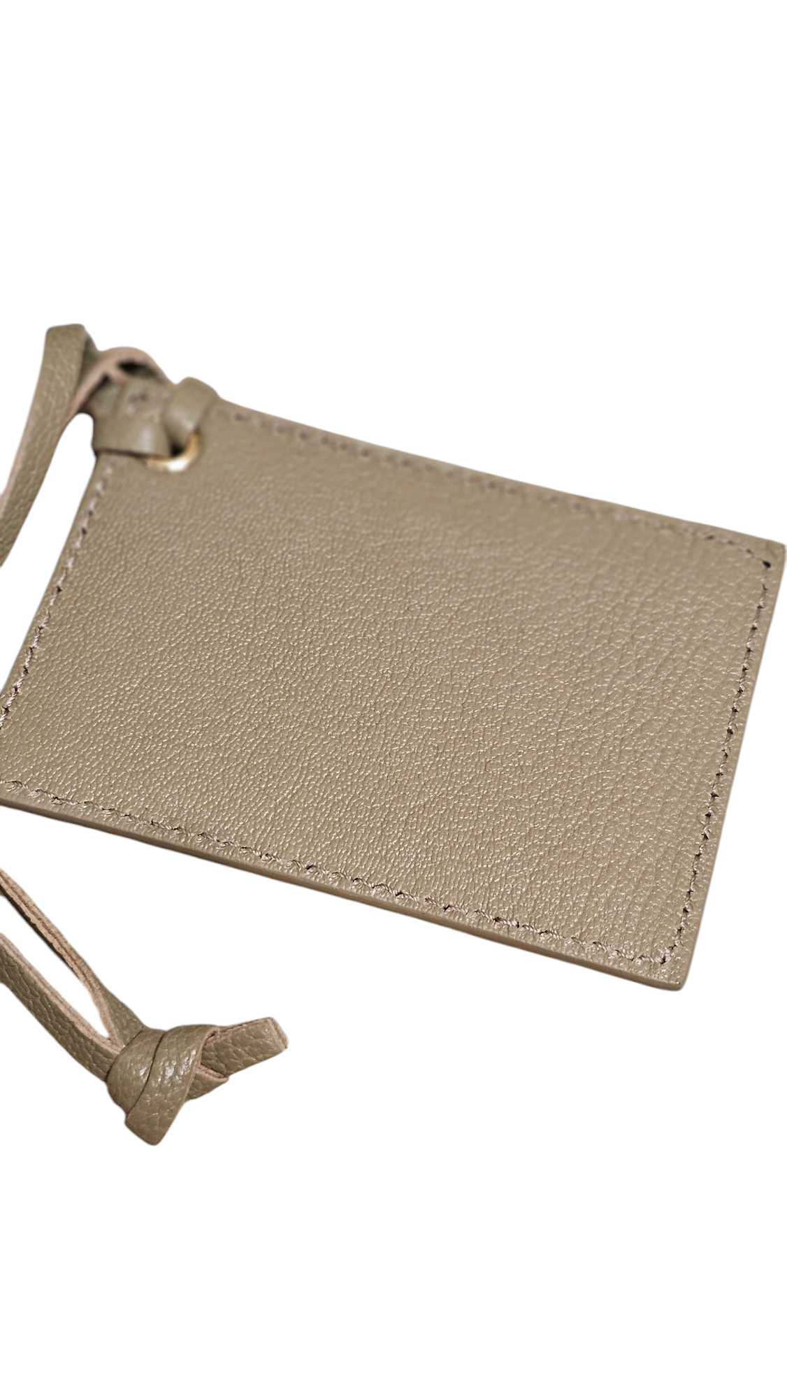 Chevre Gold Metallic Edge Hardware Mini City